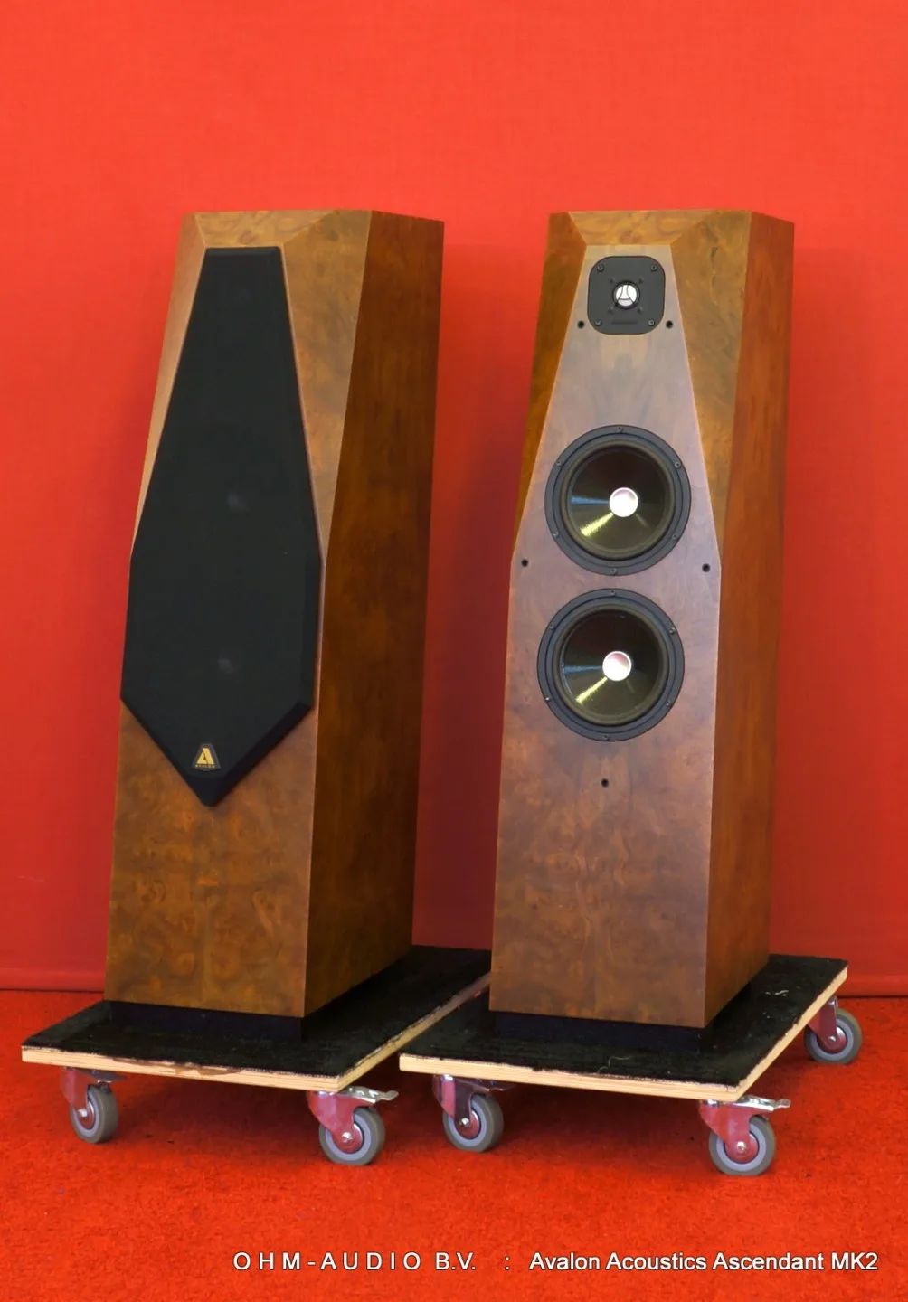 Avalon Acoustics Ascendant N (MK2) in Walnut Cluster Burl : Verkauft in die Niederlande