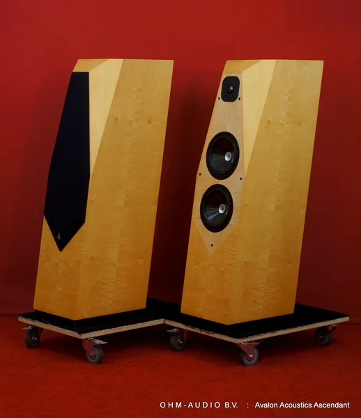 Avalon Acoustics Ascendant in Curly Maple : Sold to the Netherlands