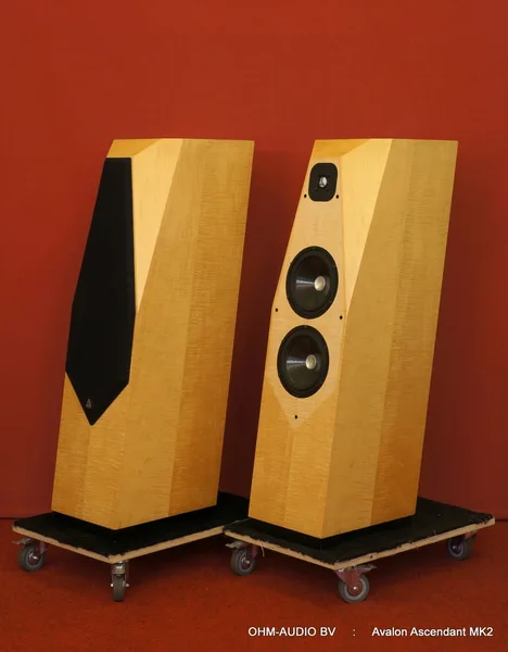 Avalon Acoustics Ascendant MK2, Curly Maple : Vendu