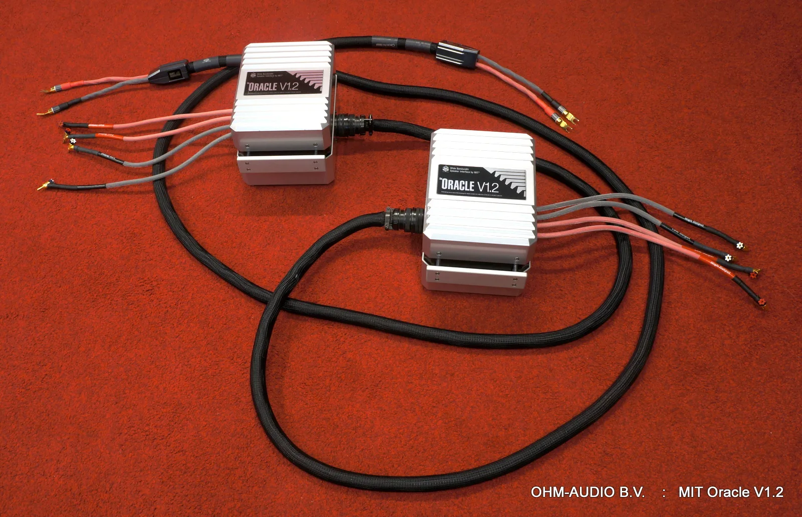 Câble HP MIT Oracle V1.2 Bi-Wiring, 10ft, Spade>Banane, Occasion : VENDU