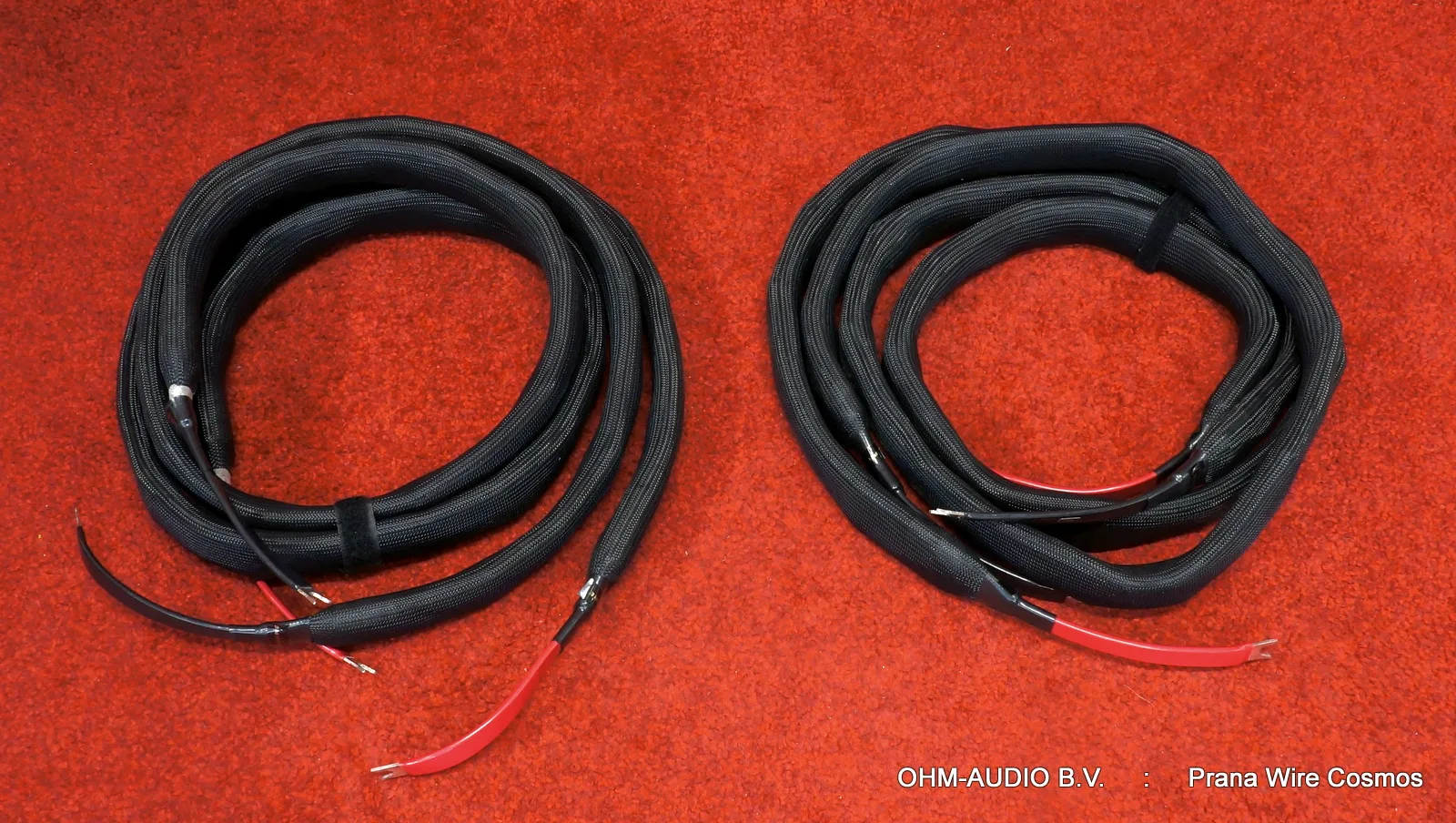 Câble Haut-Parleur Prana Wire Cosmos, Simple Conducteur, 2.0 Mètre : Vendu