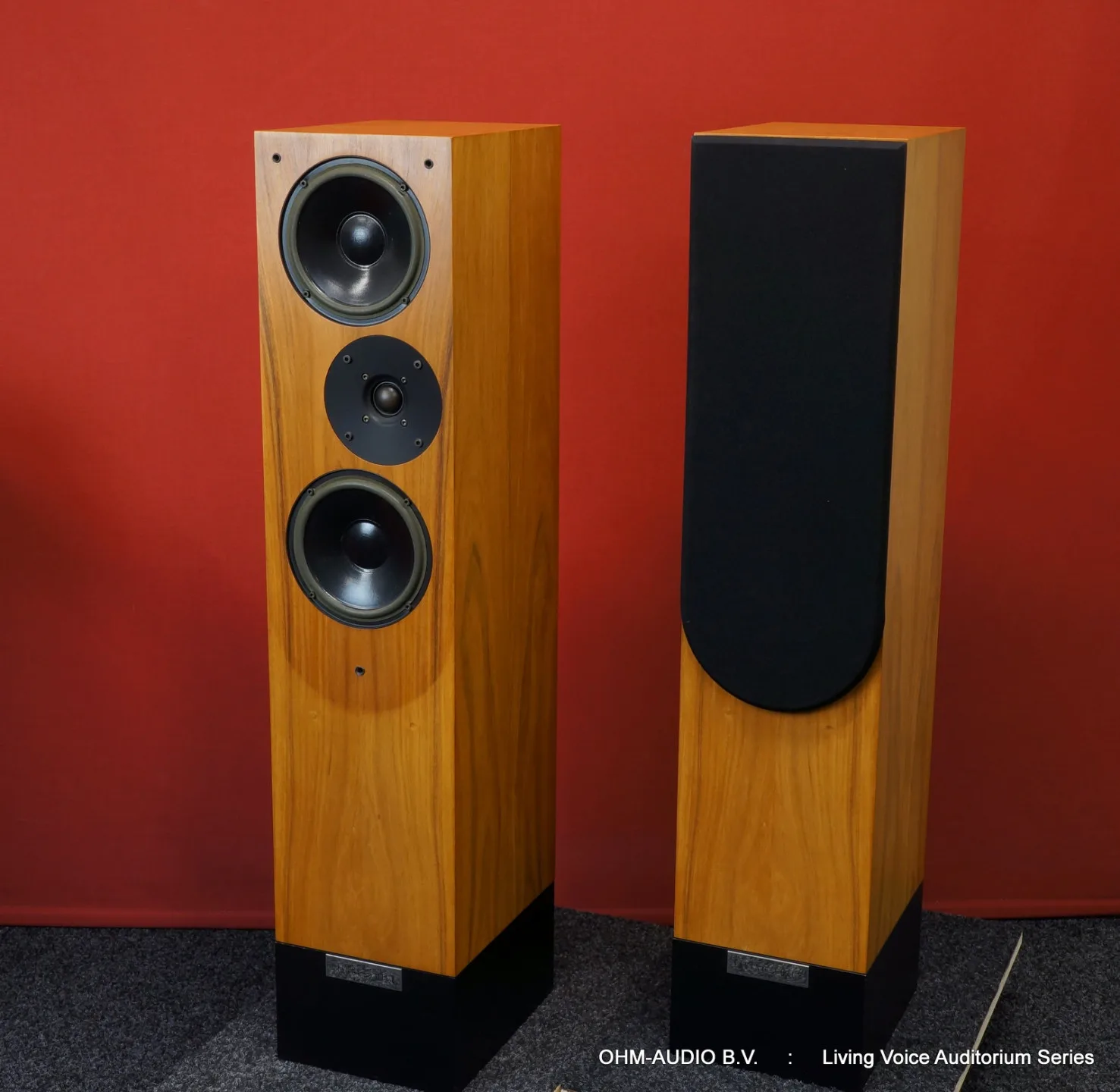 Living Voice OBX, 2-Way Floorstanding Speakers, External Bi-Wire Crossovers : SOLD
