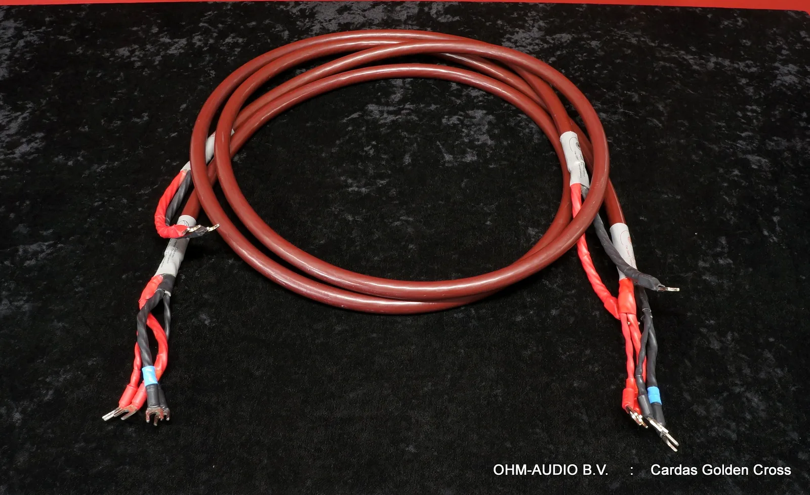 Câble HP Cardas Golden Cross, 2,0 mètre, Biwire