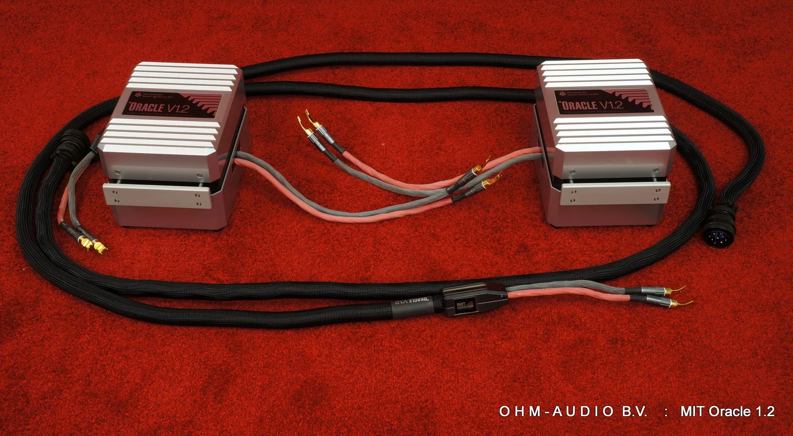 MIT Oracle V1.2 Reference Single Wiring Cable, 8ft und 10ft: Verkauft in die Niederlande